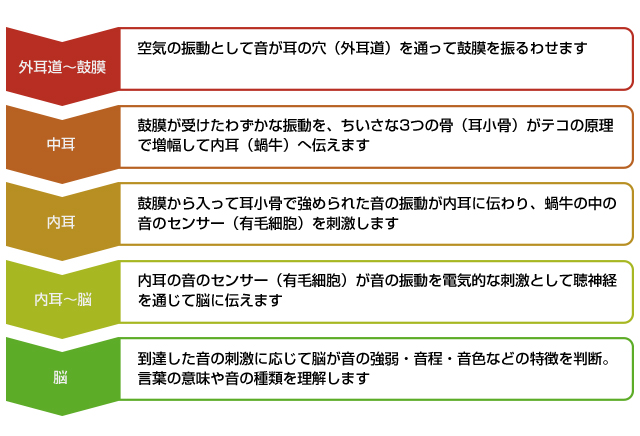 図:聞こえの仕組み